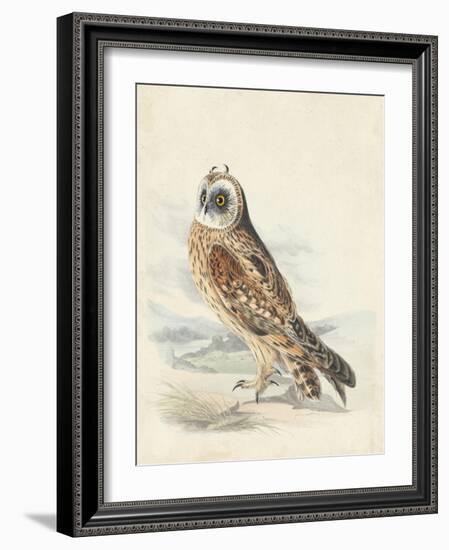 Meyer Hawk Owl-H. l. Meyer-Framed Art Print