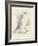 Meyer Snowy Owl-H. l. Meyer-Framed Art Print