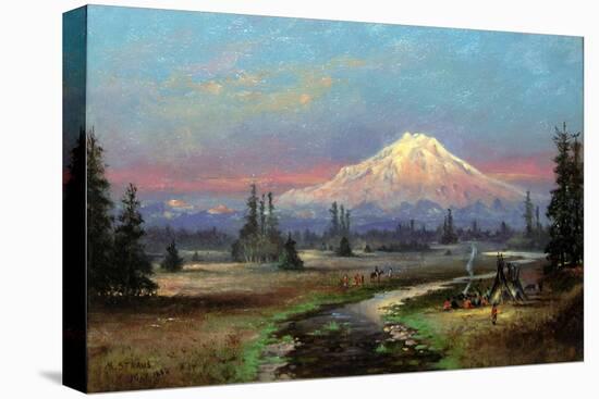 Stretched Canvas Print, , large