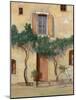 Mezza Bicicletta Sul Muro-Guido Borelli-Mounted Giclee Print