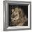 Mfuwe Lion-Wink Gaines-Framed Giclee Print