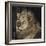 Mfuwe Lion-Wink Gaines-Framed Giclee Print