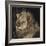 Mfuwe Lion-Wink Gaines-Framed Giclee Print