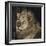 Mfuwe Lion-Wink Gaines-Framed Giclee Print