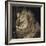 Mfuwe Lion-Wink Gaines-Framed Giclee Print