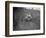 MG 18 - 80 of D Munro competing in the MG Car Club Trial, Kimble Lane, Chilterns, 1931-Bill Brunell-Framed Photographic Print