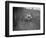 MG 18 - 80 of D Munro competing in the MG Car Club Trial, Kimble Lane, Chilterns, 1931-Bill Brunell-Framed Photographic Print