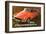 MG - Great British Sports Car-null-Framed Art Print