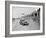 MG SA of GB Hall competing in the Blackpool Rally, 1936-Bill Brunell-Framed Photographic Print