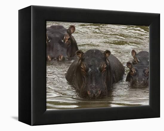 Mi Familia II-Art Wolfe-Framed Premier Image Canvas