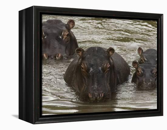 Mi Familia II-Art Wolfe-Framed Premier Image Canvas