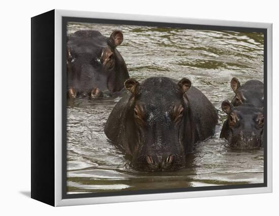 Mi Familia II-Art Wolfe-Framed Premier Image Canvas