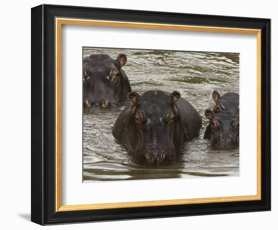 Mi Familia II-Art Wolfe-Framed Photographic Print