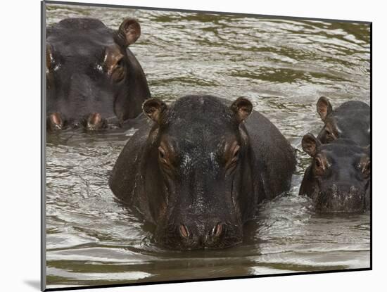 Mi Familia II-Art Wolfe-Mounted Photographic Print