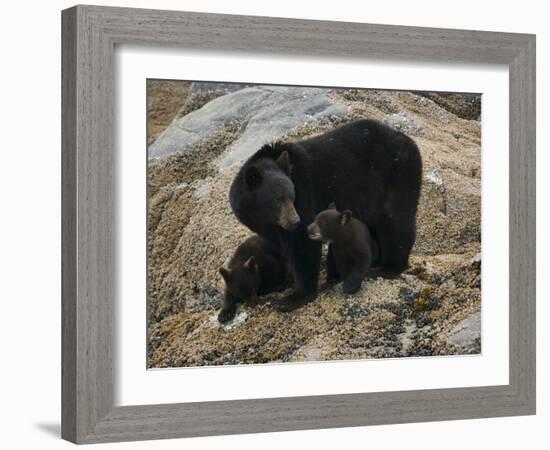 Mi Familia-Art Wolfe-Framed Photographic Print