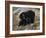 Mi Familia-Art Wolfe-Framed Photographic Print