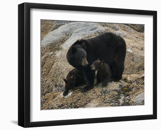 Mi Familia-Art Wolfe-Framed Photographic Print