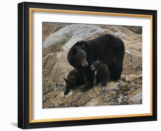 Mi Familia-Art Wolfe-Framed Photographic Print