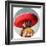 Mi Taco Mi Amigo-Lucia Heffernan-Framed Art Print