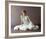 Mia Farrow, Death on the Nile (1978)-null-Framed Photo