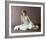 Mia Farrow, Death on the Nile (1978)-null-Framed Photo