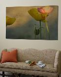 Study of Poppies-Mia Friedrich-Loft Art