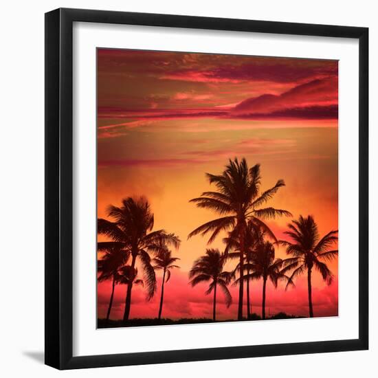 Miami Beach South Beach Sunset Palm Trees in Ocean Drive Florida-holbox-Framed Photographic Print