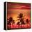 Miami Beach South Beach Sunset Palm Trees in Ocean Drive Florida-holbox-Framed Stretched Canvas