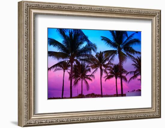 Miami Beach South Beach Sunset Palm Trees in Ocean Drive Florida-holbox-Framed Photographic Print