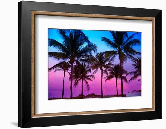 Miami Beach South Beach Sunset Palm Trees in Ocean Drive Florida-holbox-Framed Photographic Print