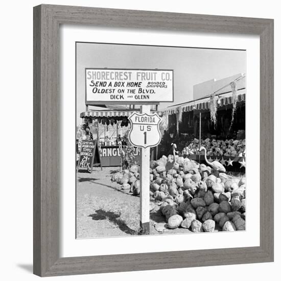 Miami Beach-Alfred Eisenstaedt-Framed Photographic Print