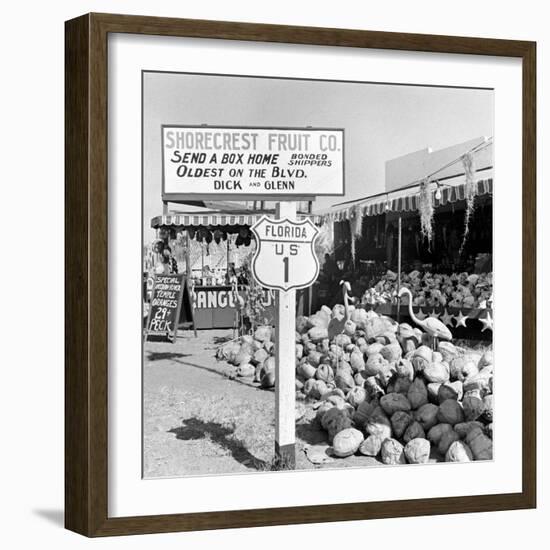 Miami Beach-Alfred Eisenstaedt-Framed Photographic Print