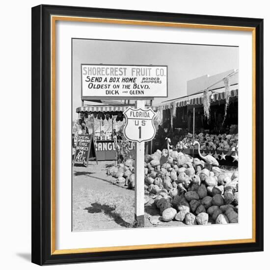 Miami Beach-Alfred Eisenstaedt-Framed Photographic Print