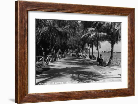 Miami, Florida - Bayfront Park Promanade Scene-Lantern Press-Framed Art Print