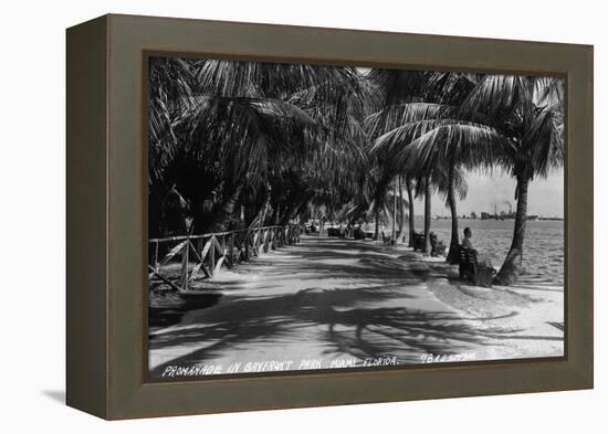 Miami, Florida - Bayfront Park Promanade Scene-Lantern Press-Framed Stretched Canvas