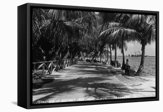 Miami, Florida - Bayfront Park Promanade Scene-Lantern Press-Framed Stretched Canvas