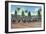 Miami, Florida - Hialeah Park; Horse Race Start Scene-Lantern Press-Framed Art Print