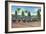 Miami, Florida - Hialeah Park; Horse Race Start Scene-Lantern Press-Framed Art Print