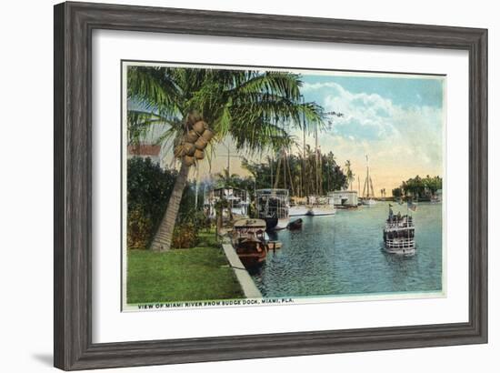 Miami, Florida - Miami River from Budge Dock-Lantern Press-Framed Art Print