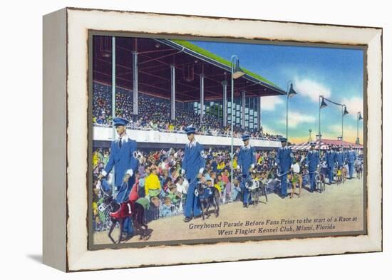 Miami, Florida - West Flagler Kennel Club Greyhound Parade before Race-Lantern Press-Framed Stretched Canvas