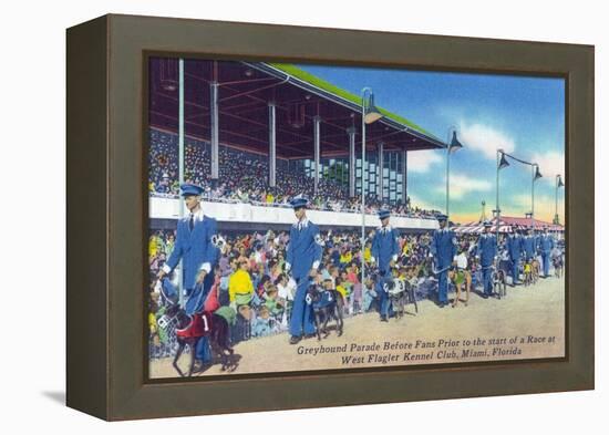 Miami, Florida - West Flagler Kennel Club Greyhound Parade before Race-Lantern Press-Framed Stretched Canvas