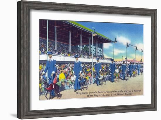 Miami, Florida - West Flagler Kennel Club Greyhound Parade before Race-Lantern Press-Framed Art Print