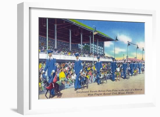 Miami, Florida - West Flagler Kennel Club Greyhound Parade before Race-Lantern Press-Framed Art Print