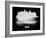 Miami Skyline Brush Stroke - White-NaxArt-Framed Art Print
