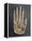 Mica hand, Native American, Hopewell culture, from Ohio, 300 BC - 500-Werner Forman-Framed Premier Image Canvas