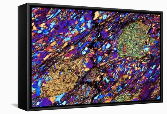 Mica Schist, Thin Section, Polarised LM-PASIEKA-Framed Premier Image Canvas