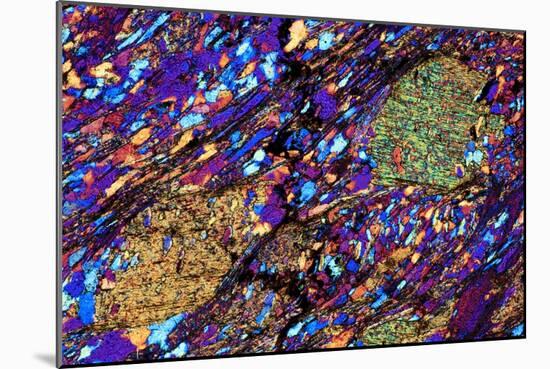 Mica Schist, Thin Section, Polarised LM-PASIEKA-Mounted Photographic Print