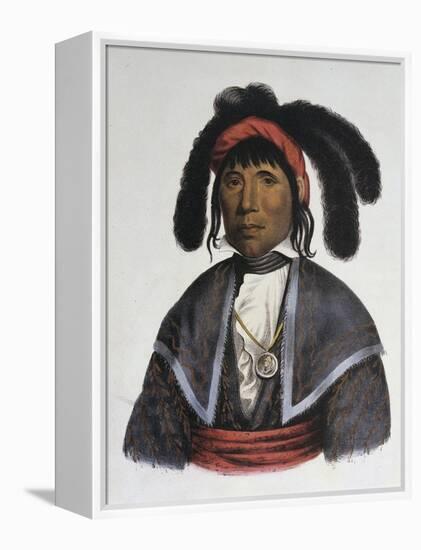 Micanopy (Seminole Chief)-Charles Bird King-Framed Premier Image Canvas