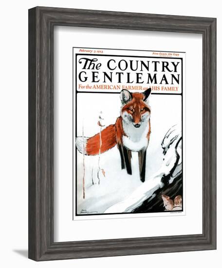 "Mice Hiding from Fox," Country Gentleman Cover, February 3, 1923-Paul Bransom-Framed Giclee Print