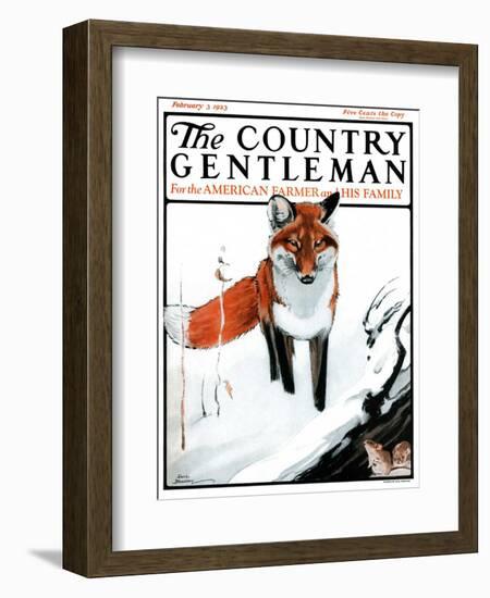 "Mice Hiding from Fox," Country Gentleman Cover, February 3, 1923-Paul Bransom-Framed Giclee Print